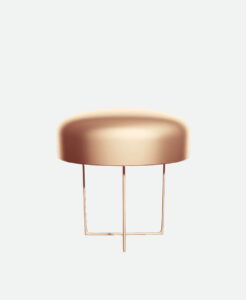 Product Name 12 - Imagen 2